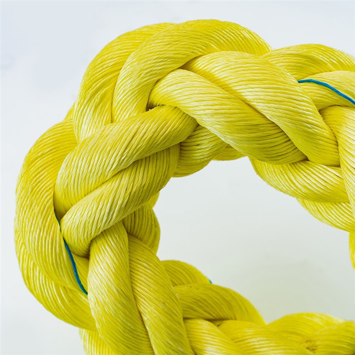 Boat Dock Rope Swing